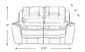 Lanzo Leather Stationary Loveseat