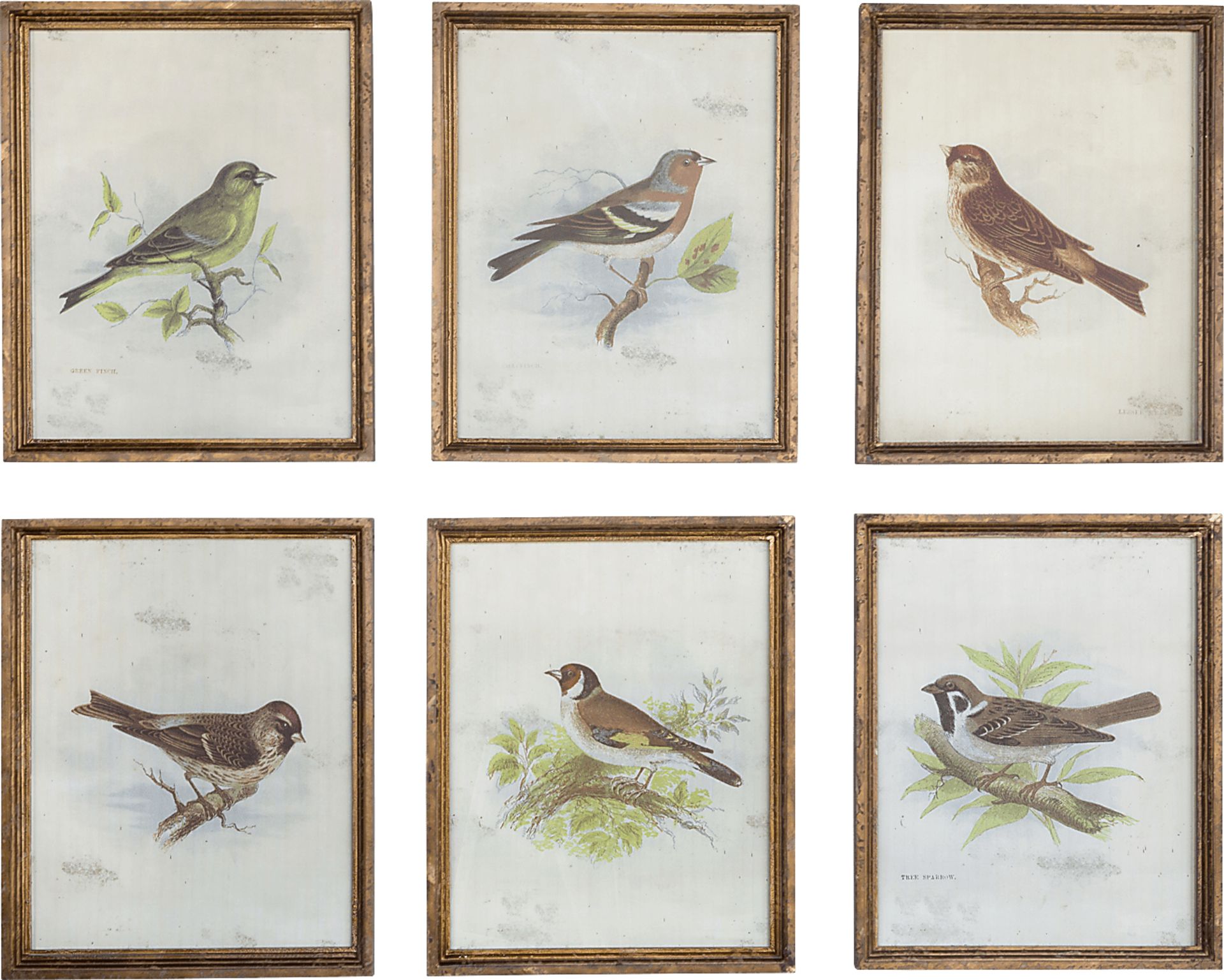 Larks Brown Artwork, Set of 6 - Image 1