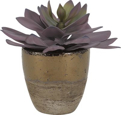 Larone Pink Echeveria Silk Plant