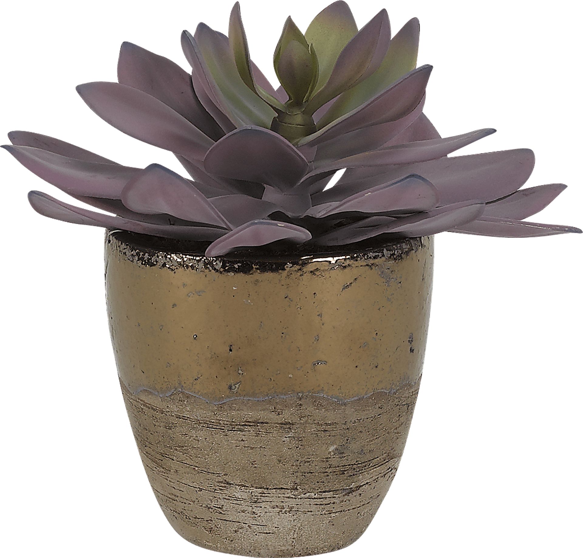 Larone Pink Echeveria Silk Plant - Image 1
