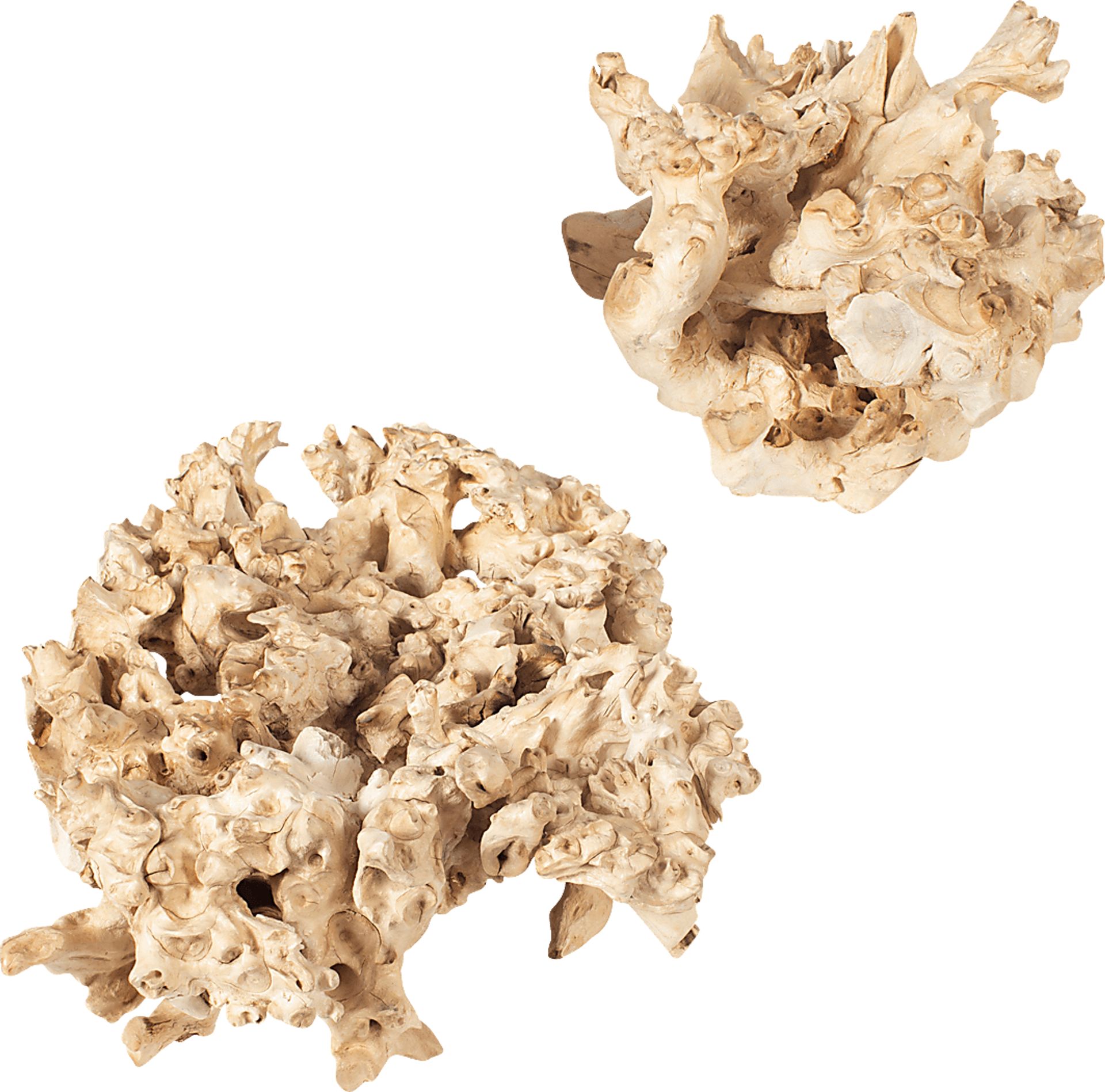Lascari Ivory Outdoor Sculputure, Set of 2 - Image 2