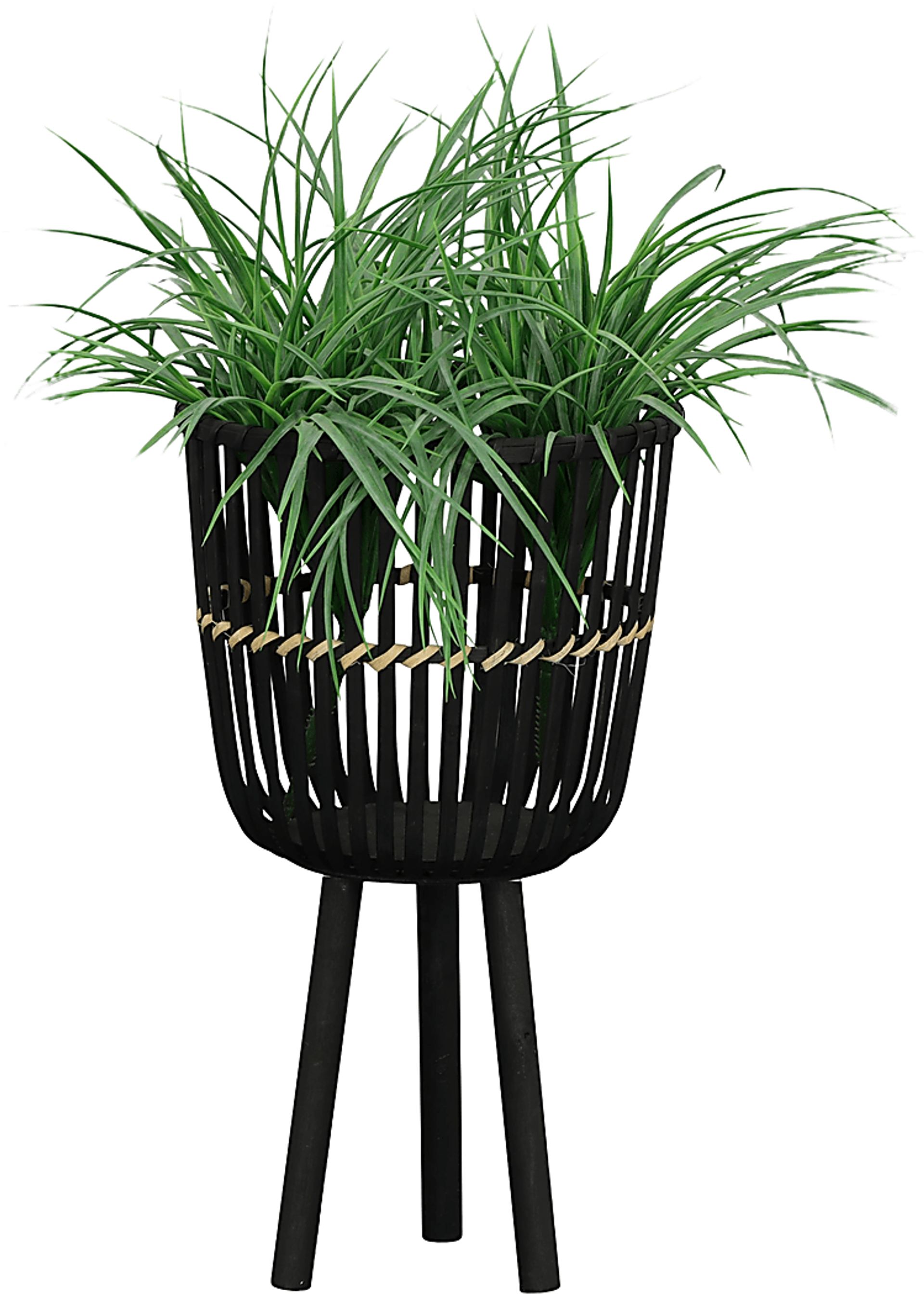 Lathrrop Black Planter, Set of 3 - Image 5