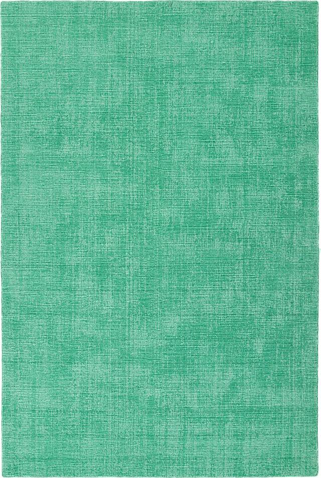Lauderdale Green 8' x 10' Indoor/Outdoor Rug - Thumbnail - Image 1