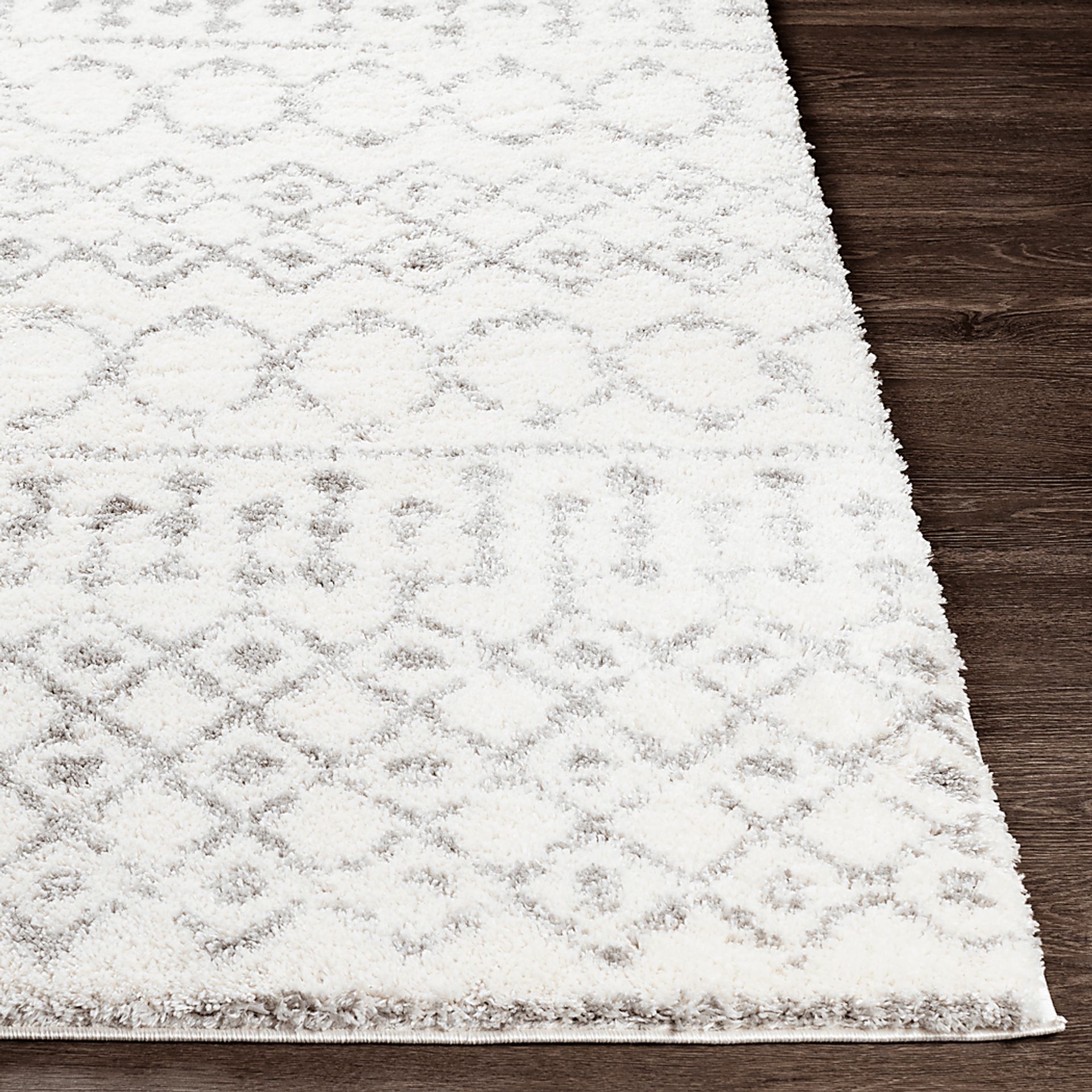Leara Ivory 5'3 x 7'3 Rug - Image 4