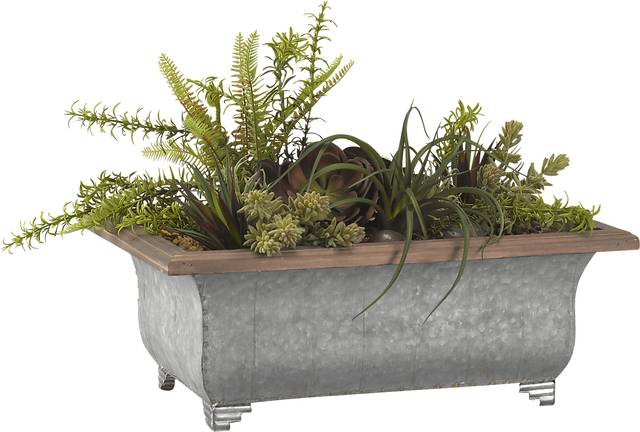 Leighann Green Succulent Silk Plant - Thumbnail - Image 1