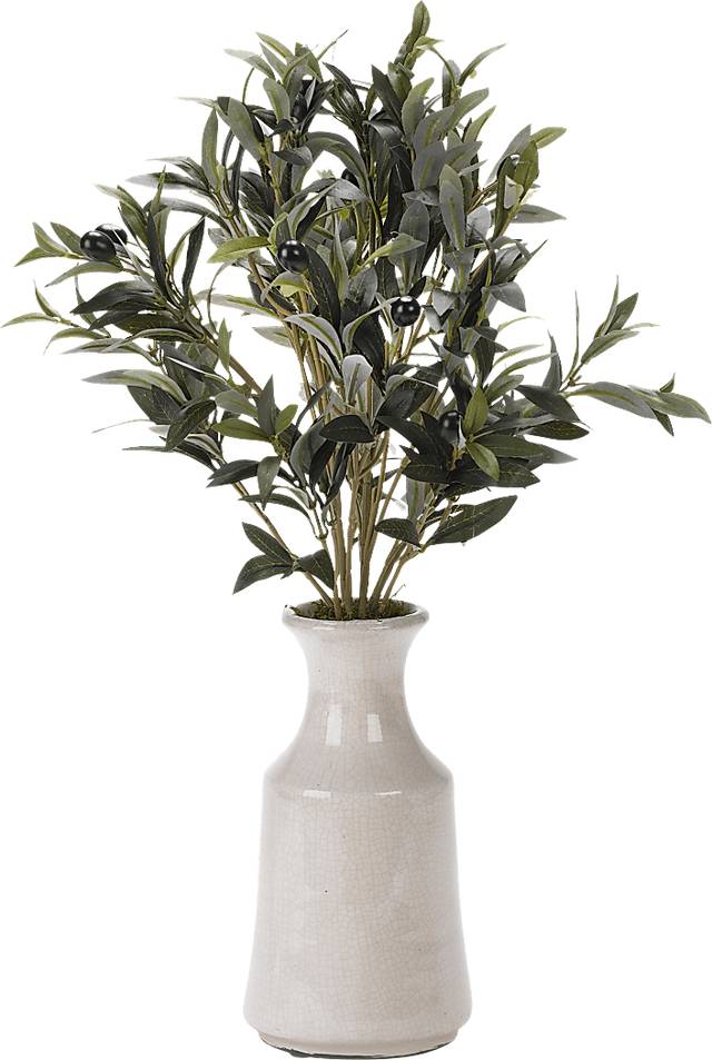 Leoma Green Olive Silk Plant - Thumbnail - Image 1