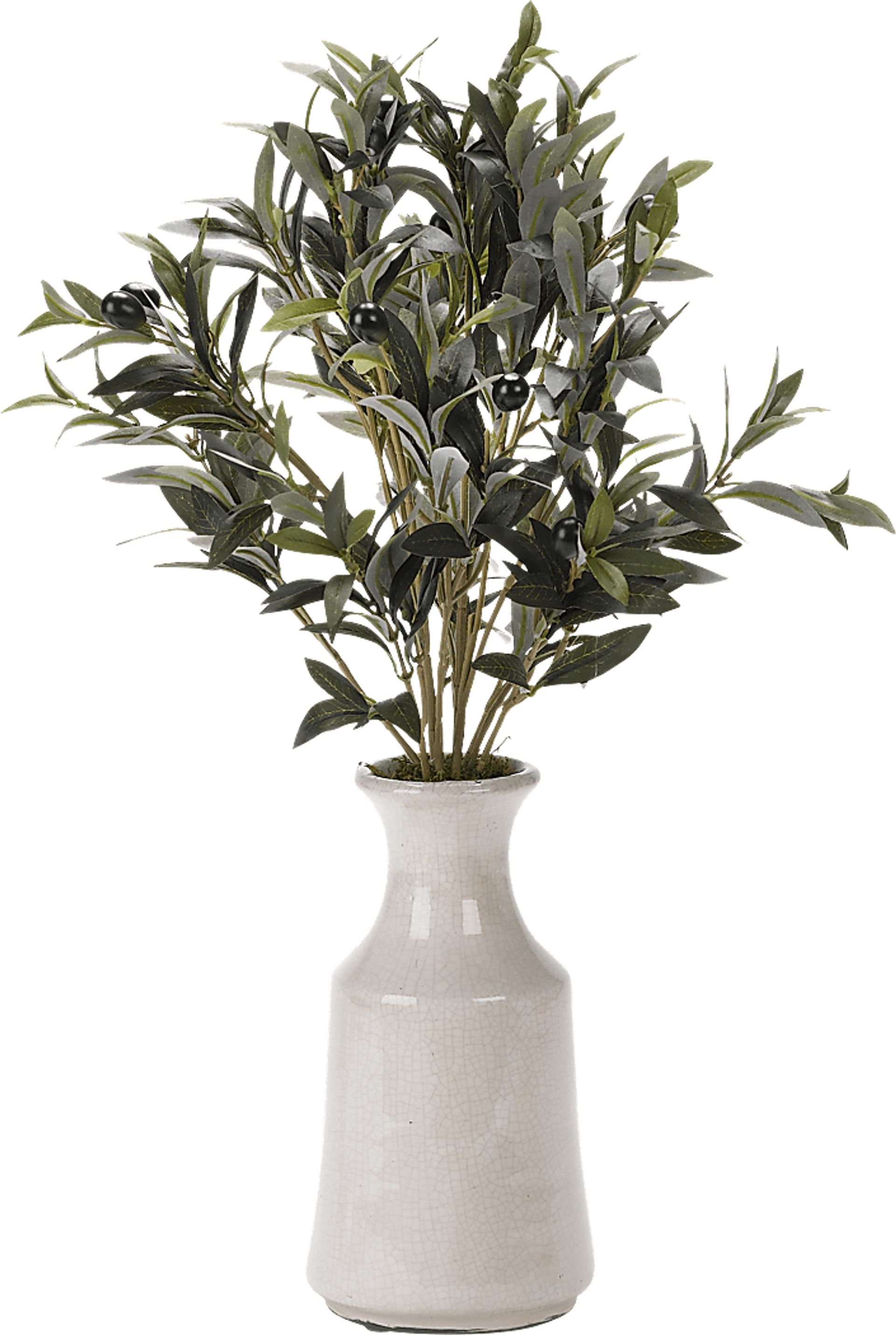 Leoma Green Olive Silk Plant - Image 1