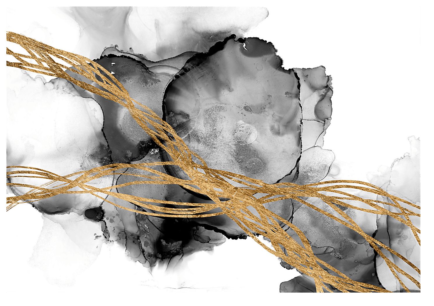 Light In The Dark Artwork