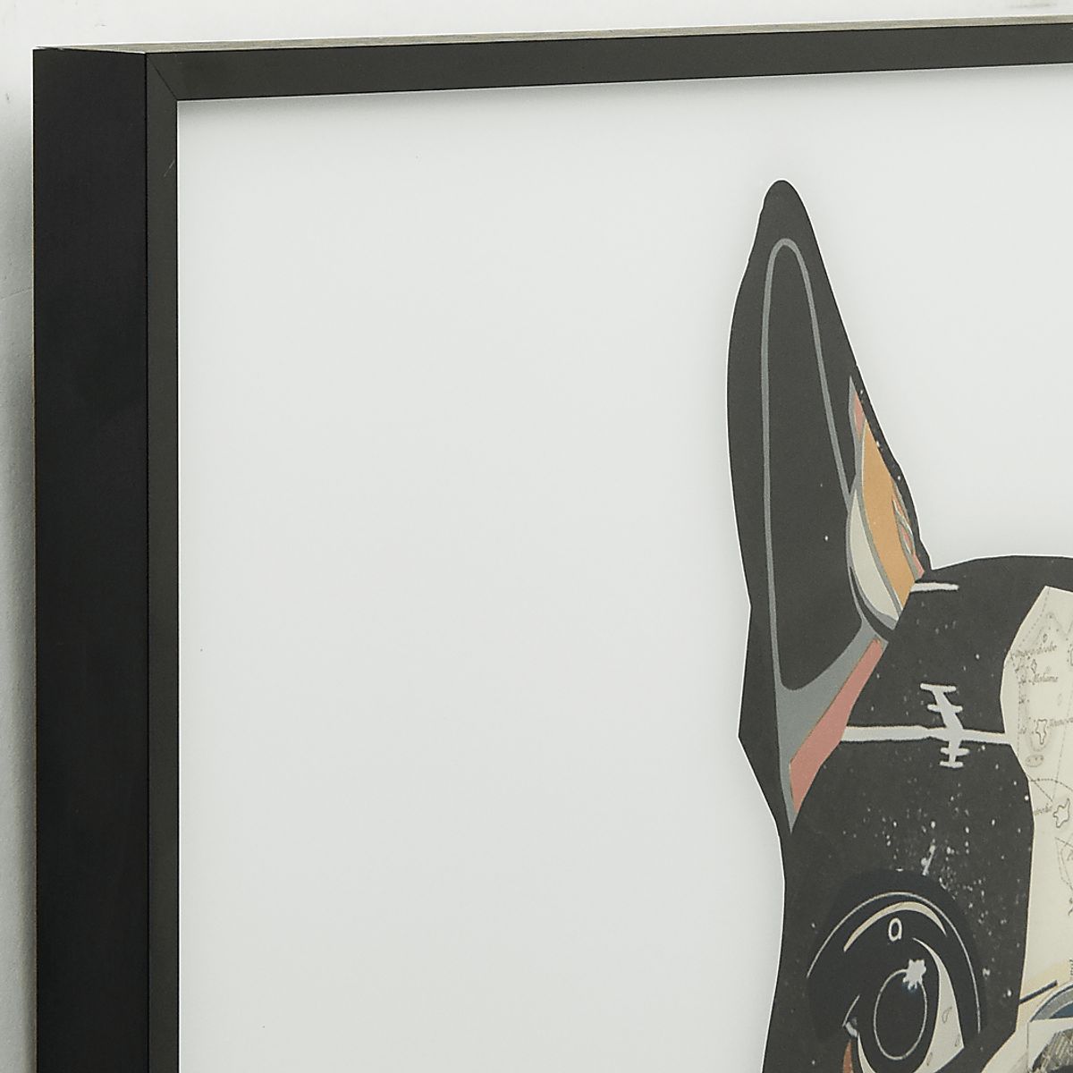 Lion'S Stare Artwork | Rooms to Go