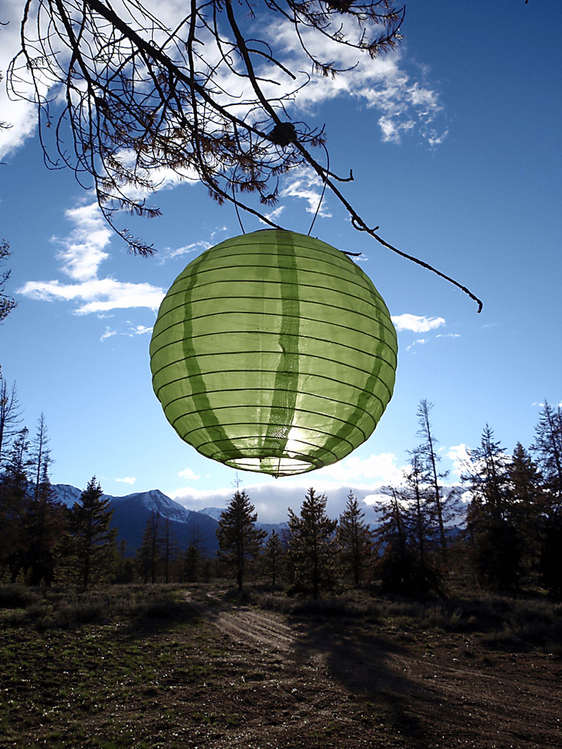 Lita Green Outdoor Solar Lantern - Image 3