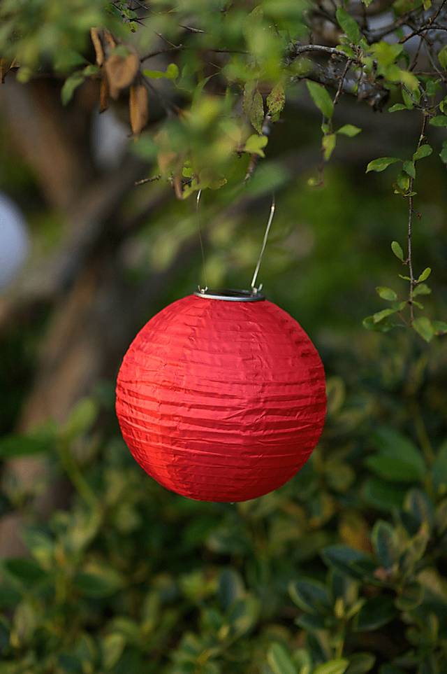 Lita Red Outdoor Solar Lantern - Thumbnail - Image 2