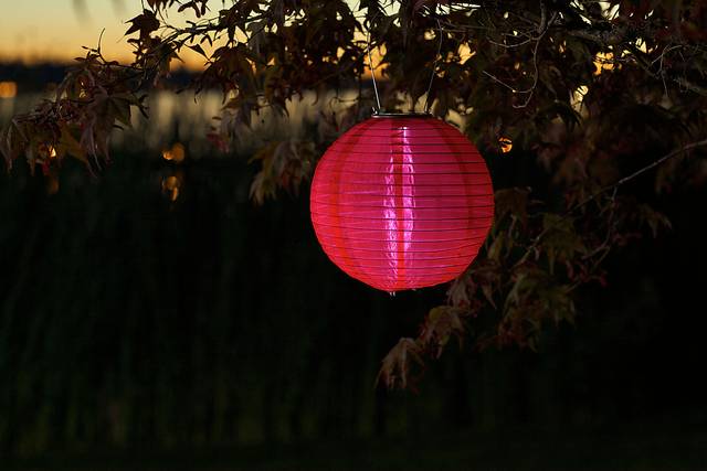 Lita Red Outdoor Solar Lantern - Thumbnail - Image 3