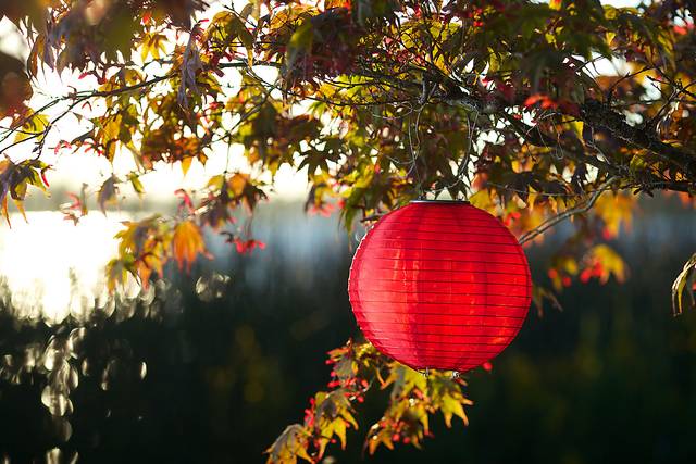Lita Red Outdoor Solar Lantern - Thumbnail - Image 4