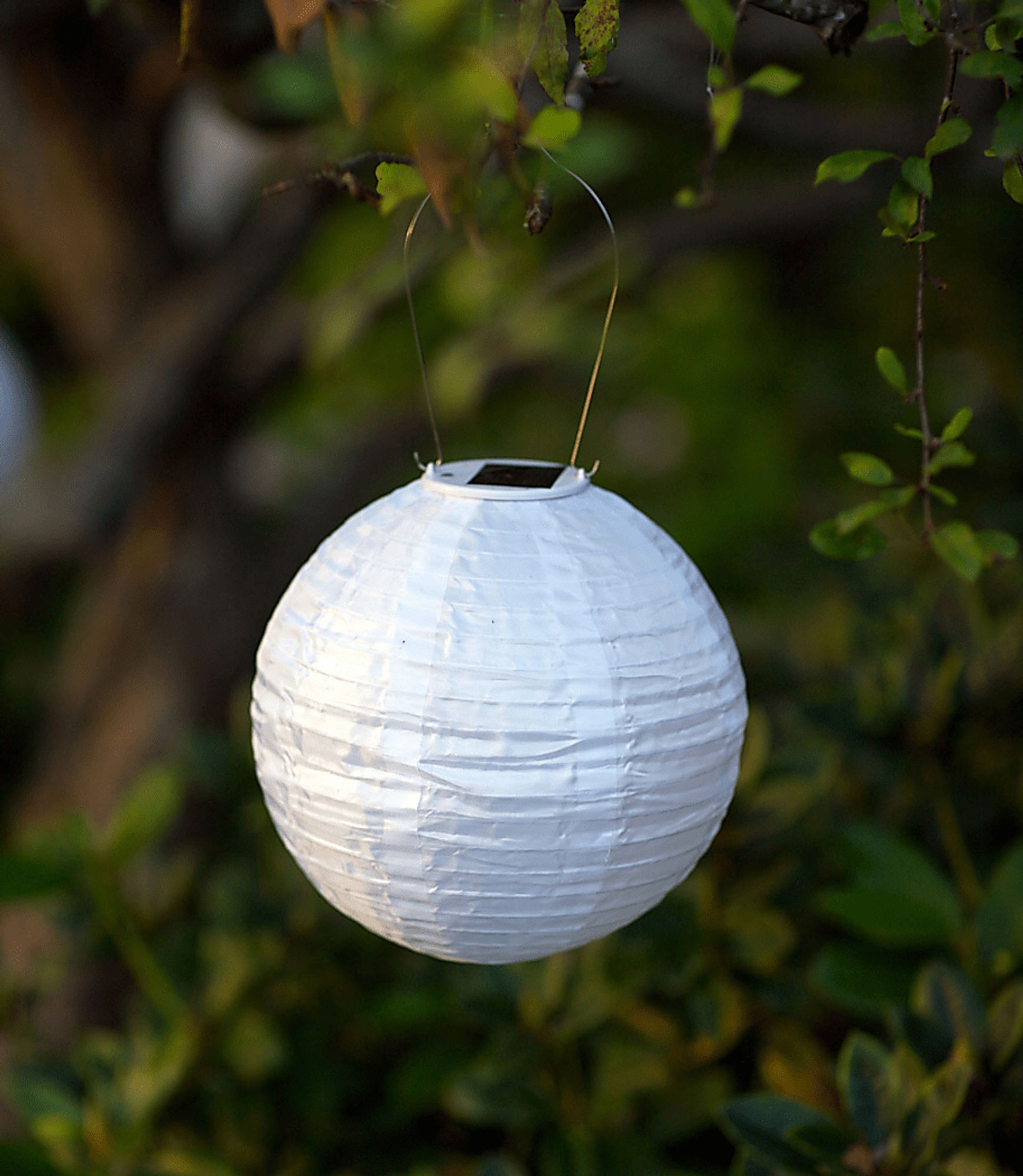 Lita White Outdoor Solar Lantern with Amber LED - Image 3