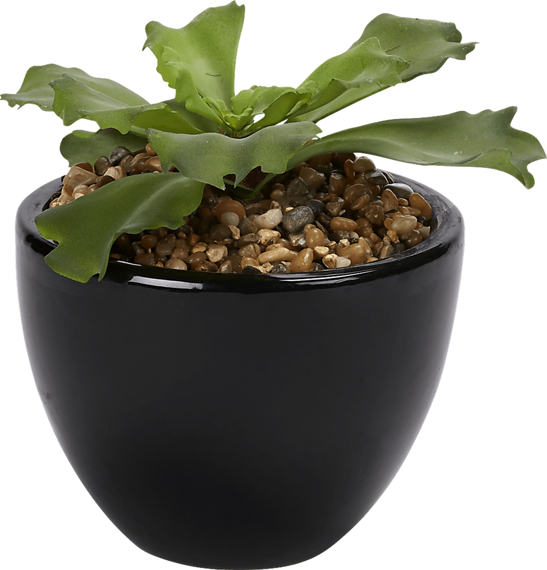 Lizel Green Echeveria Silk Plant - Image 1