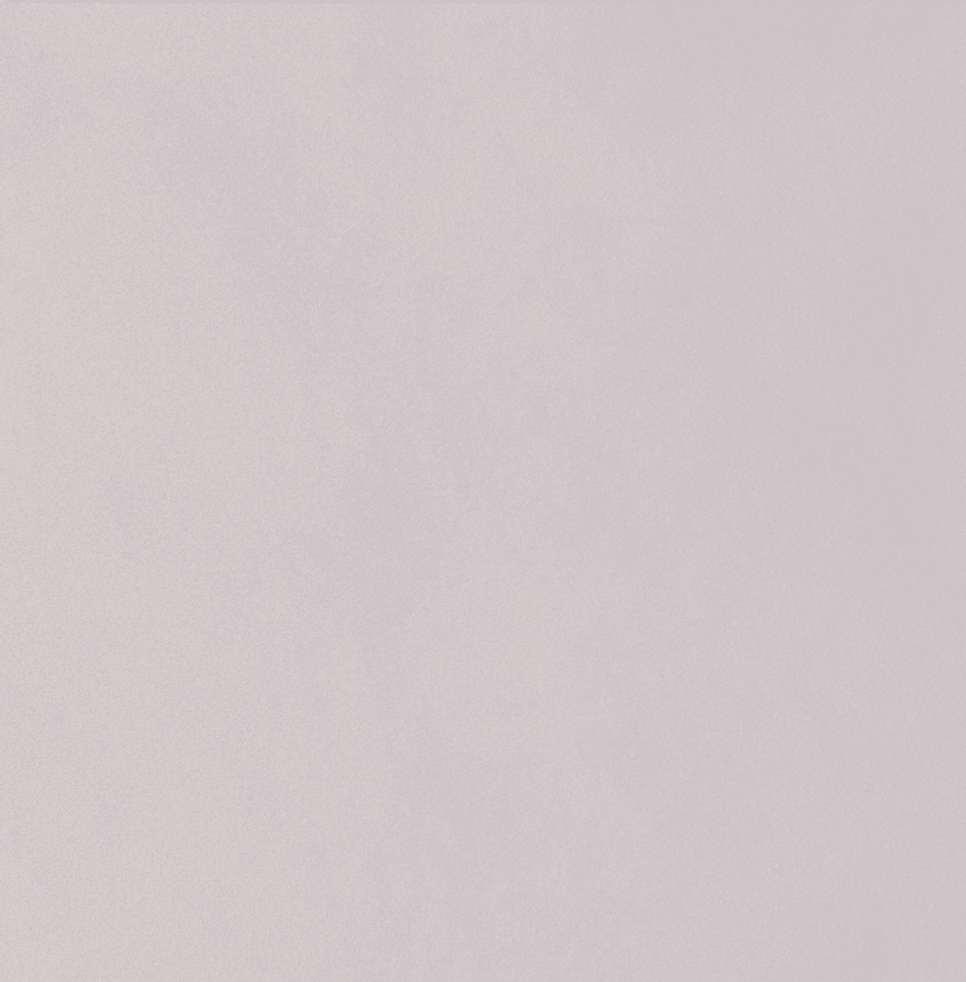 Locust Light Pink Twin Bed - Image 4