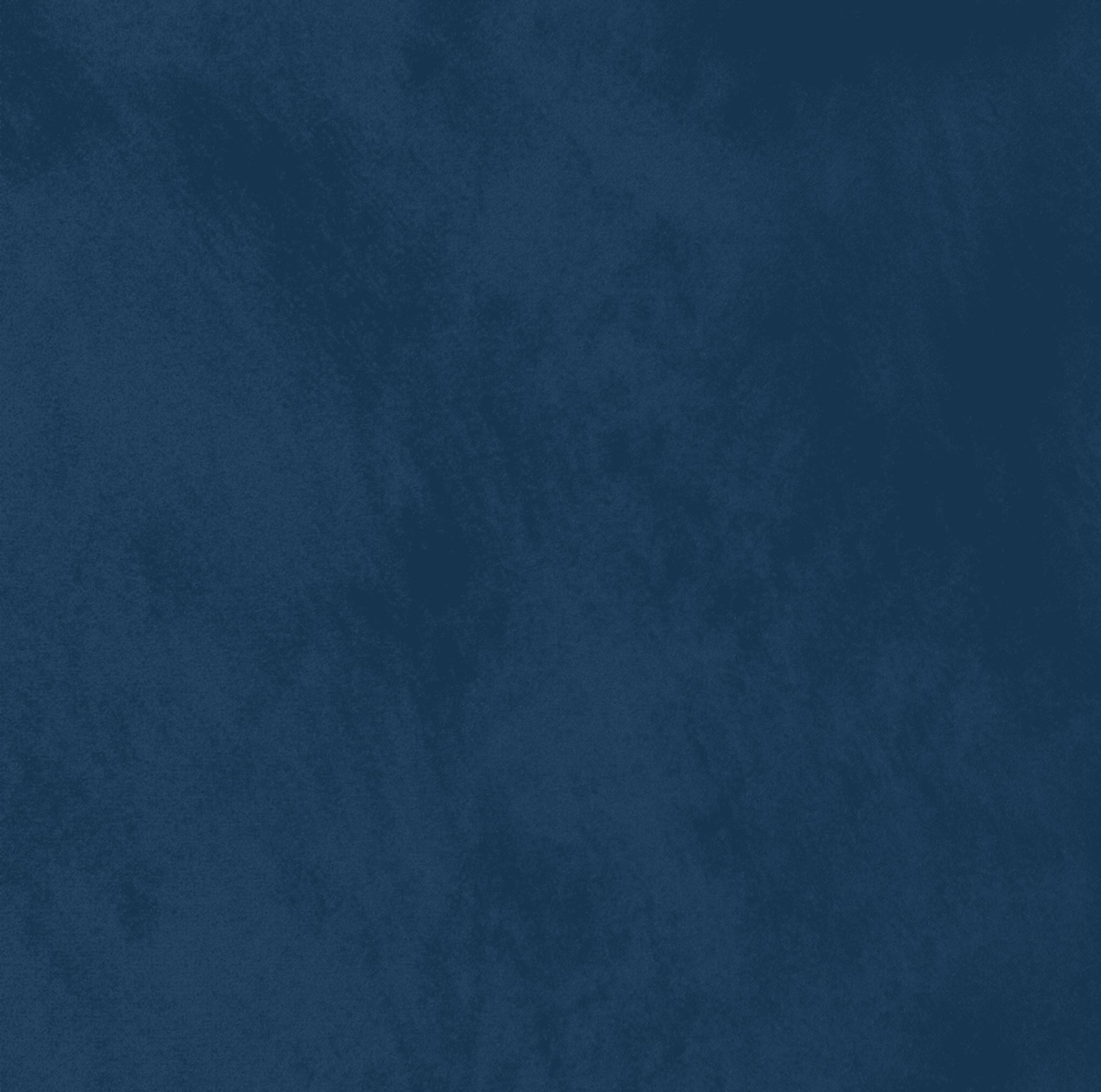 Locust Navy Blue Full Bed - Image 4
