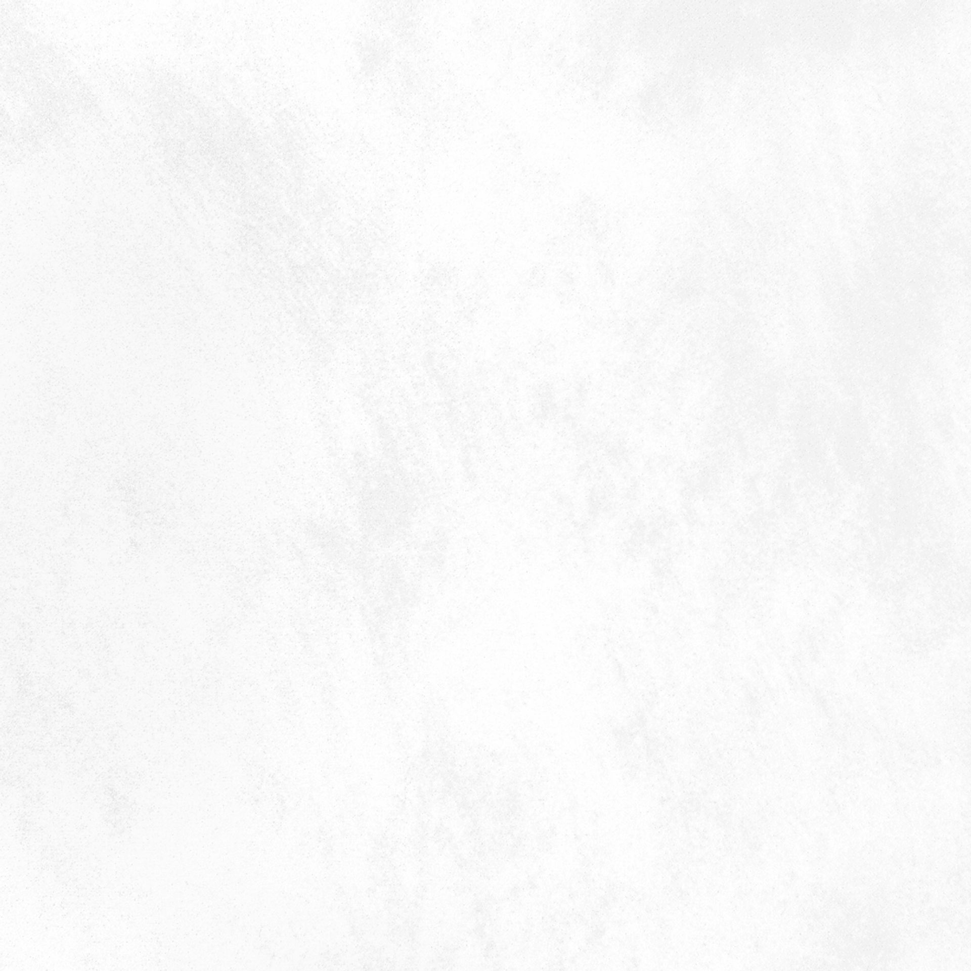 Locust White King Bed - Image 3