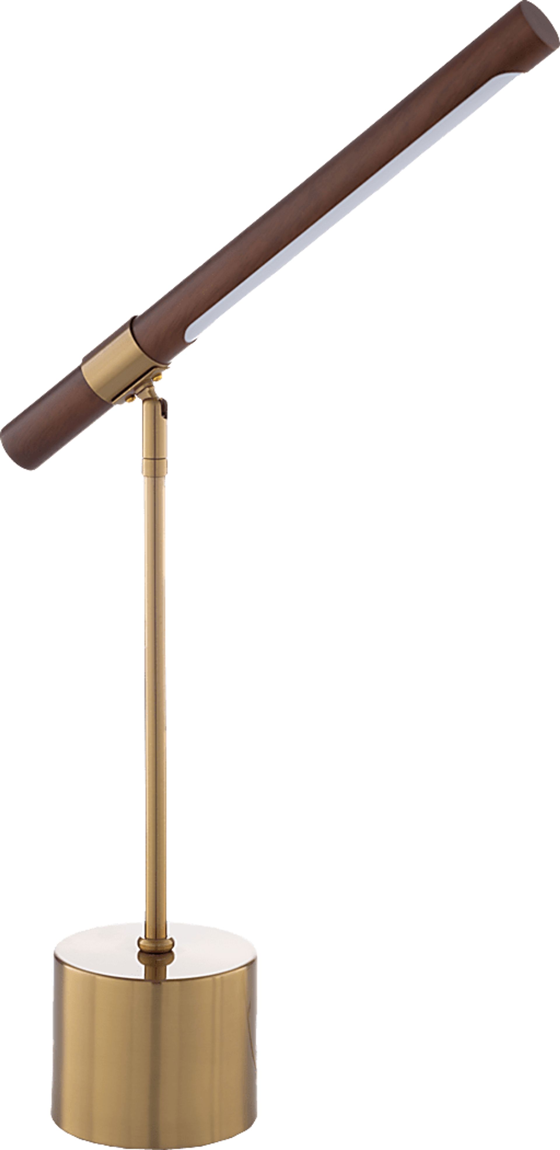Long Branch Point Brass Lamp - Image 1