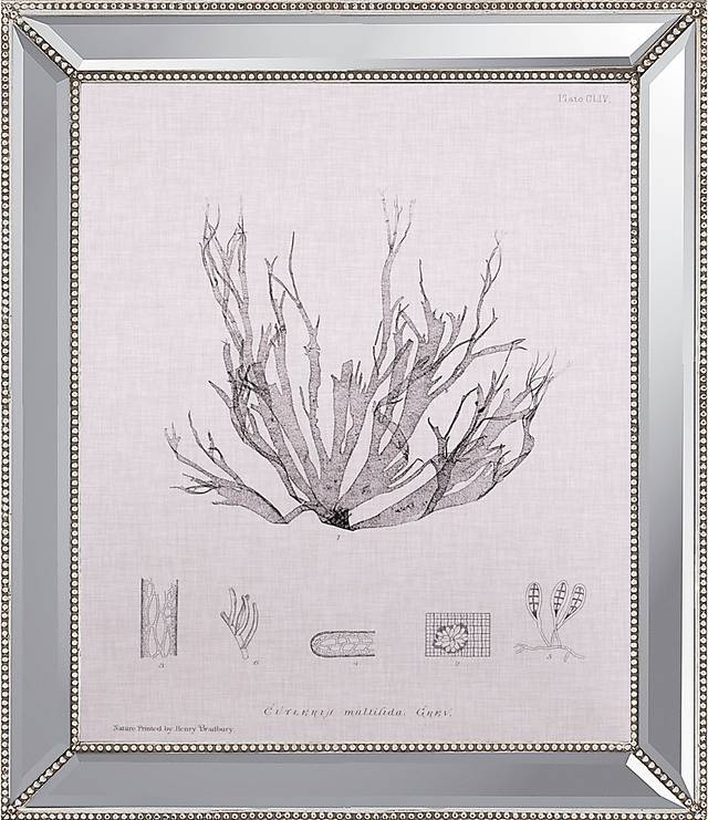 Longlea I Silver Artwork - Thumbnail - Image 1