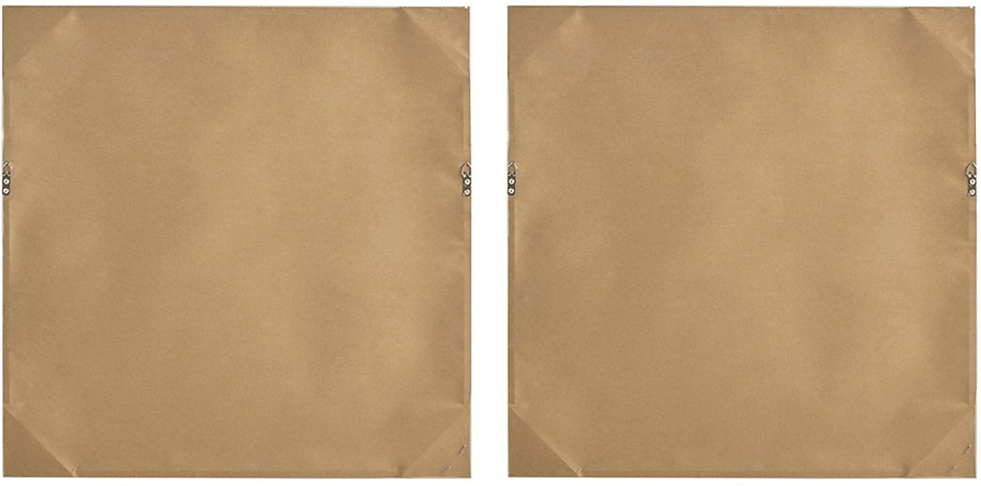 Lorna's Roses Ivory Artwork, Set of 2 - Image 8