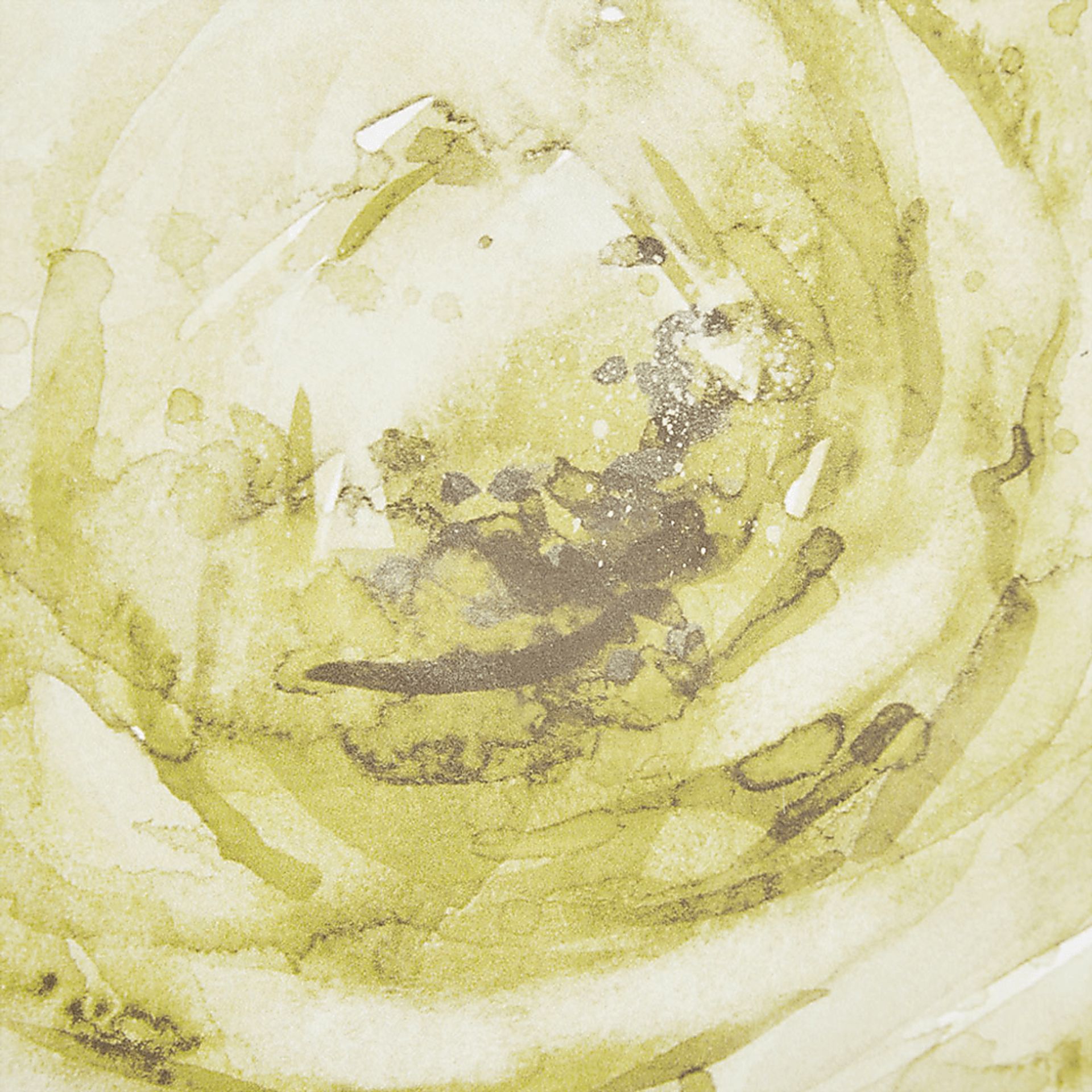 Lorna's Roses Ivory Artwork, Set of 2 - Image 5