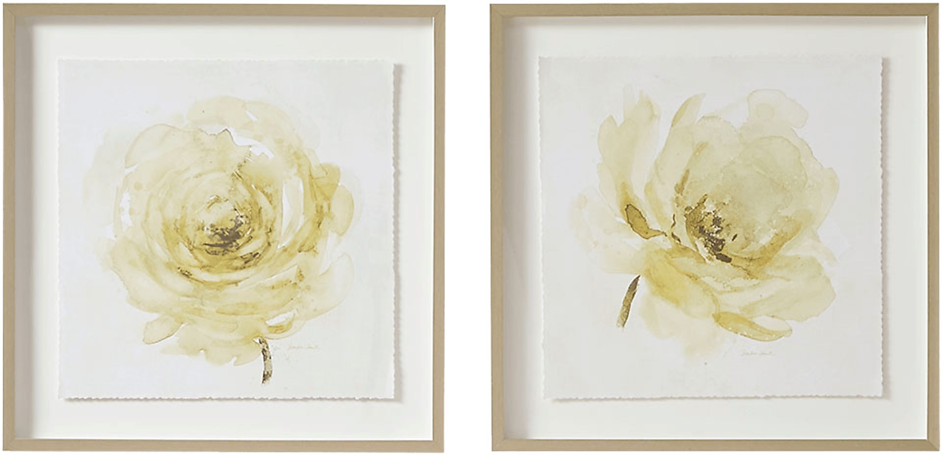 Lorna's Roses Ivory Artwork, Set of 2 - Image 1