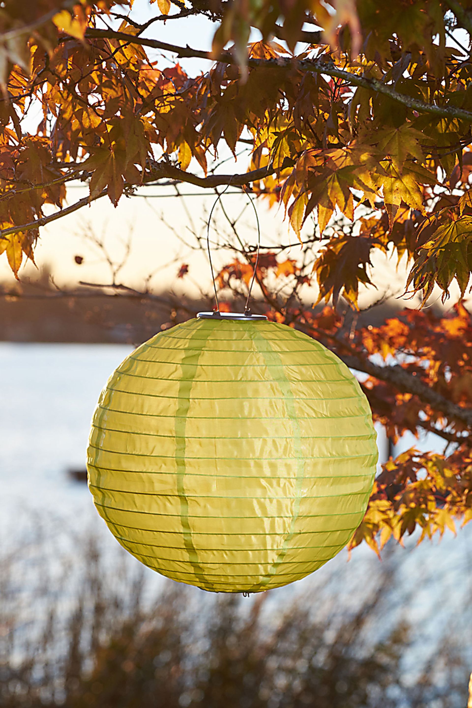Lucene Lime Outdoor Solar Lantern - Image 4