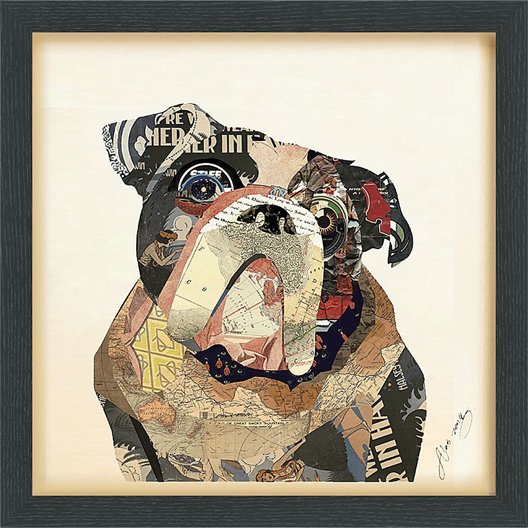 Macemon Multi Artwork