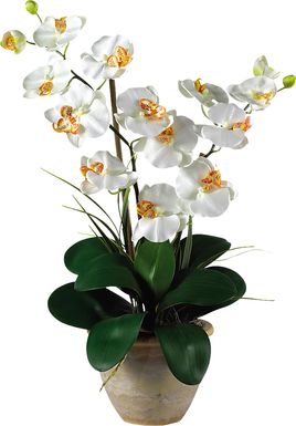 Maelyn White Orchid Silk Floral