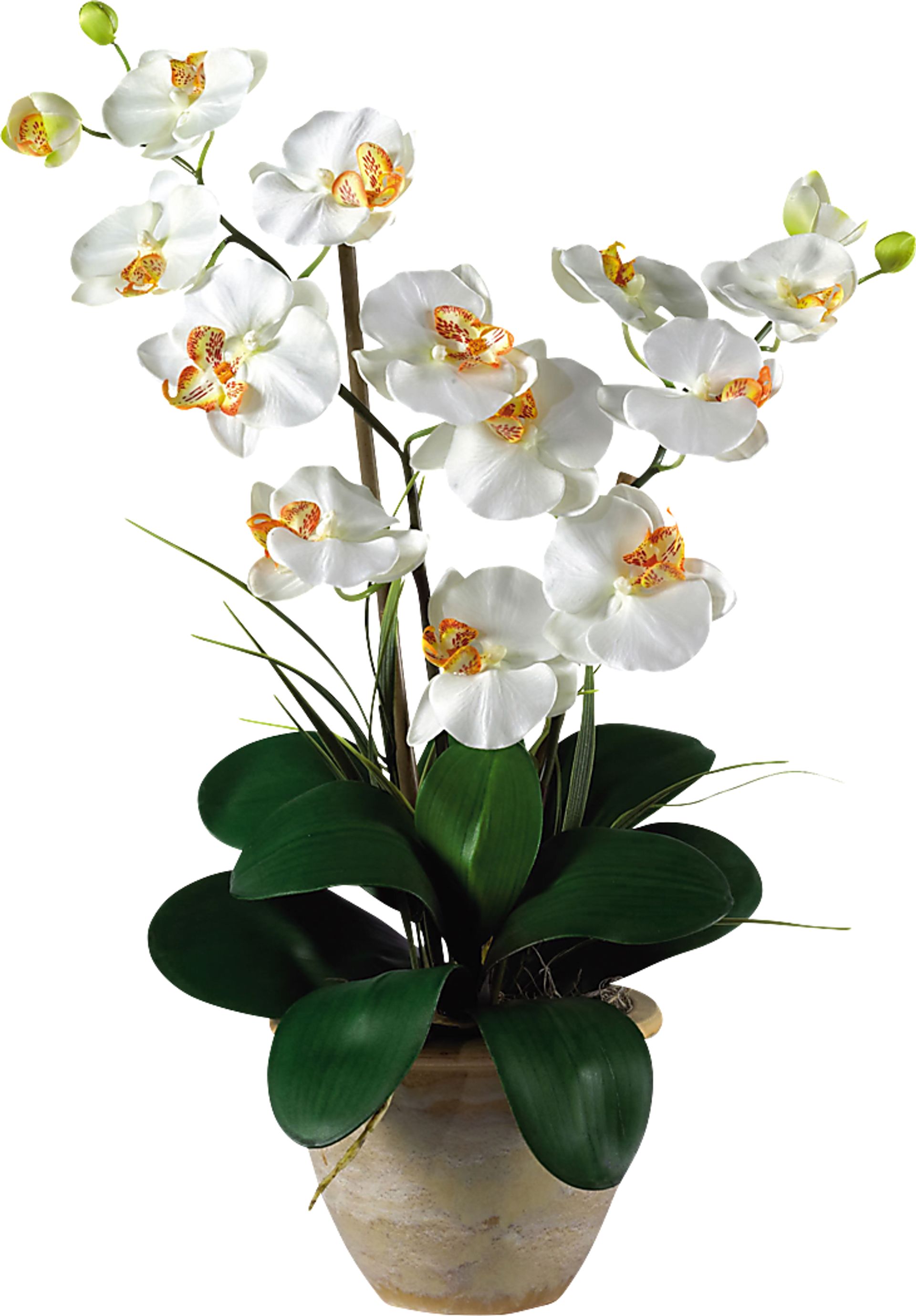 Maelyn White Orchid Silk Floral - Image 1