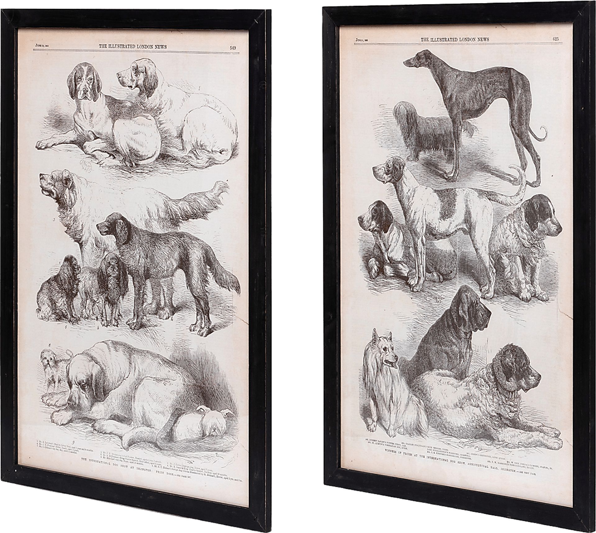 Majestia Black Artwork, Set of 2 - Image 3