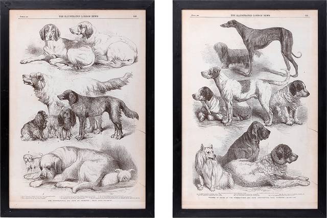 Majestia Black Artwork, Set of 2 - Thumbnail - Image 1