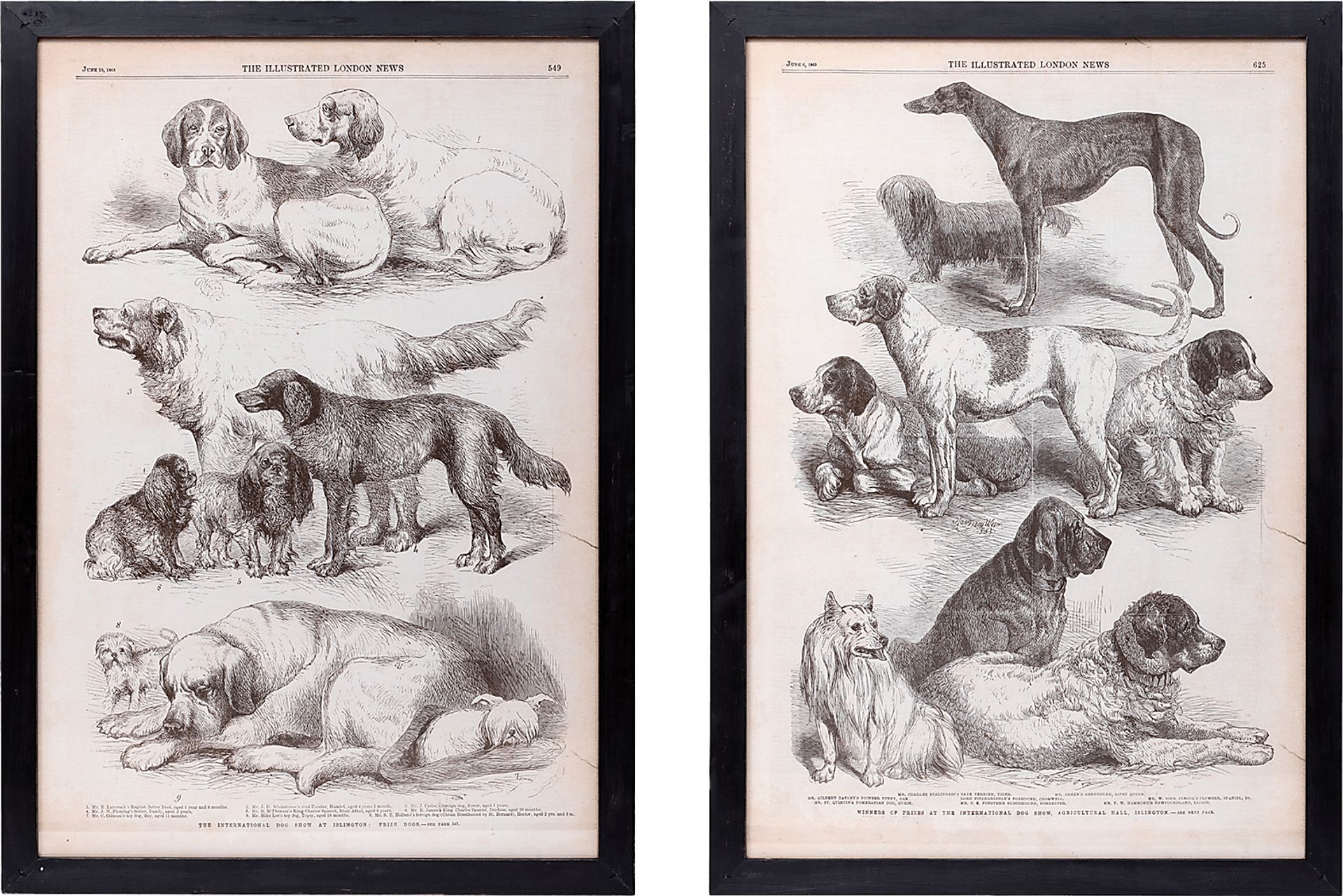 Majestia Black Artwork, Set of 2 - Image 1