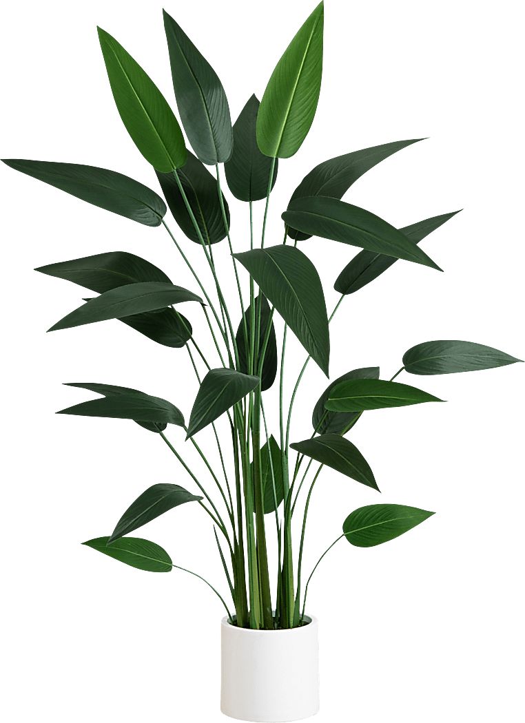 Malenock II Green Silk Plant