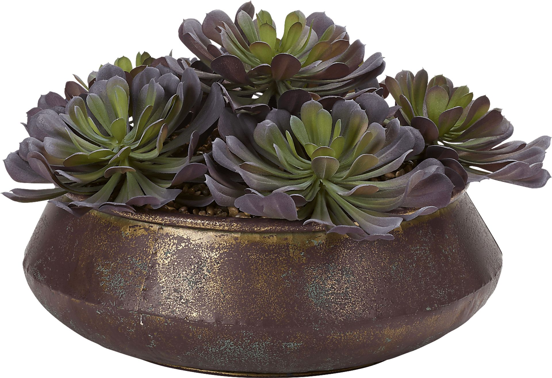 Malikia Green Echeveria Silk Plant - Image 1