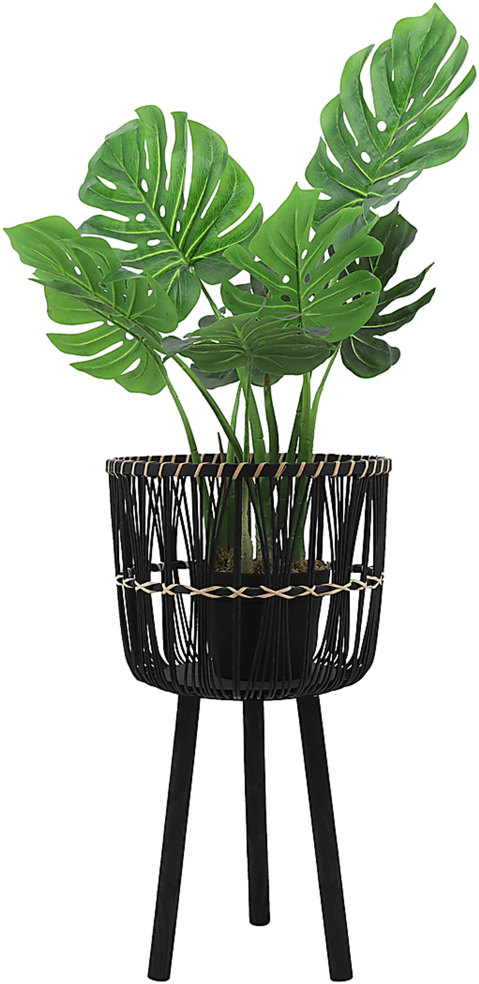 Mallaga Black Planter, Set of 3 - Image 3