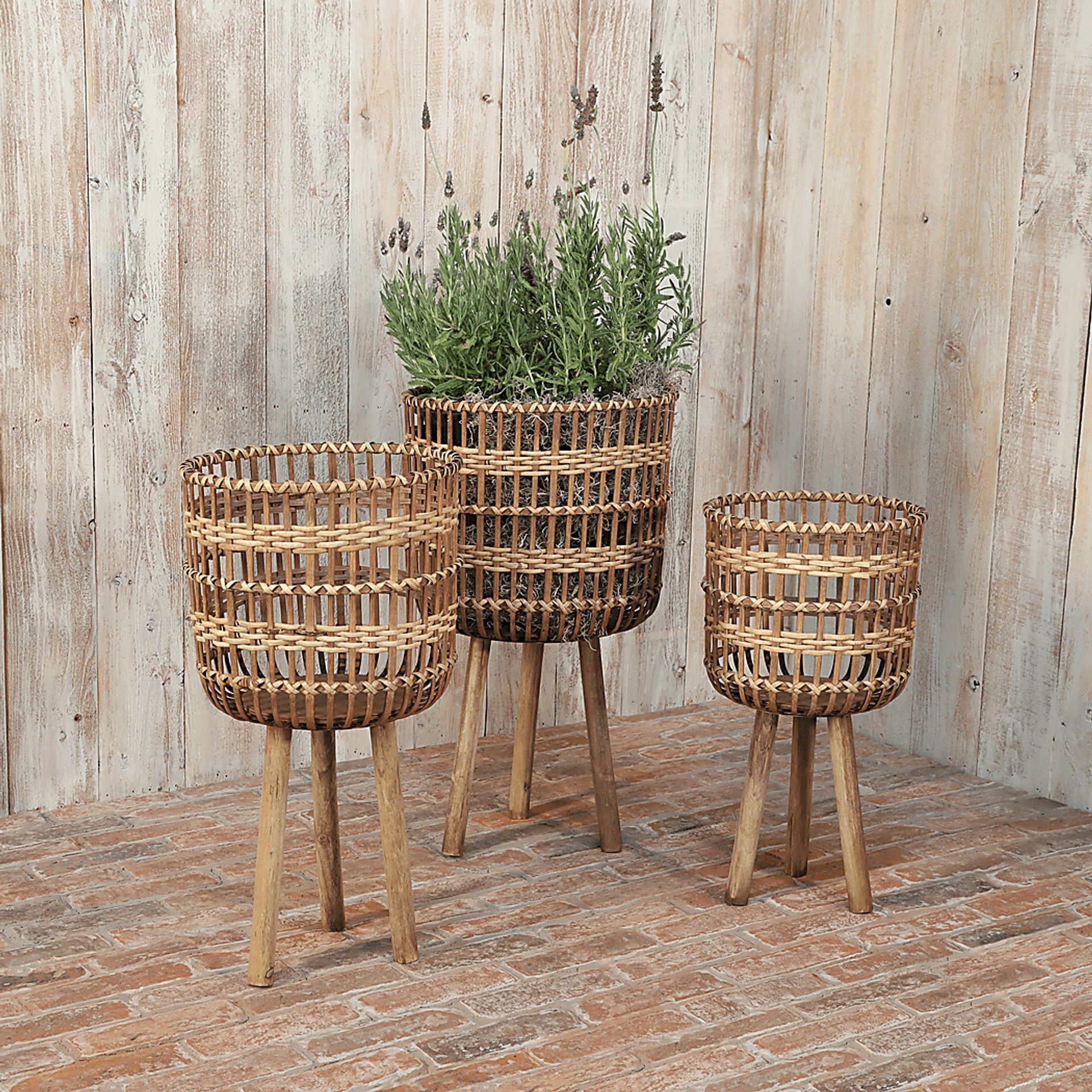 Mallaga Brown Planter, Set of 3 - Image 9