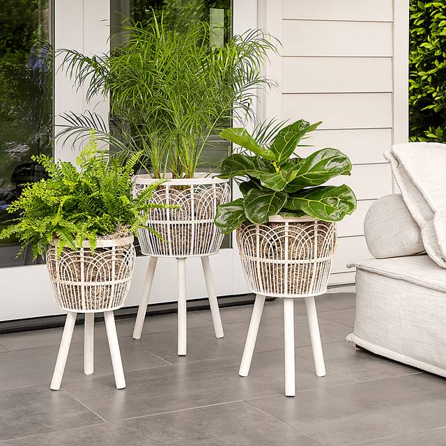 Mallaga White Planter, Set of 3 - Thumbnail - Image 2