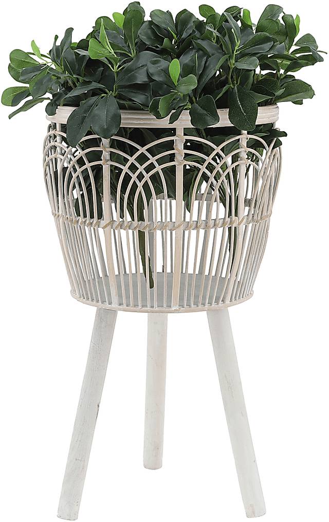 Mallaga White Planter, Set of 3 - Thumbnail - Image 4