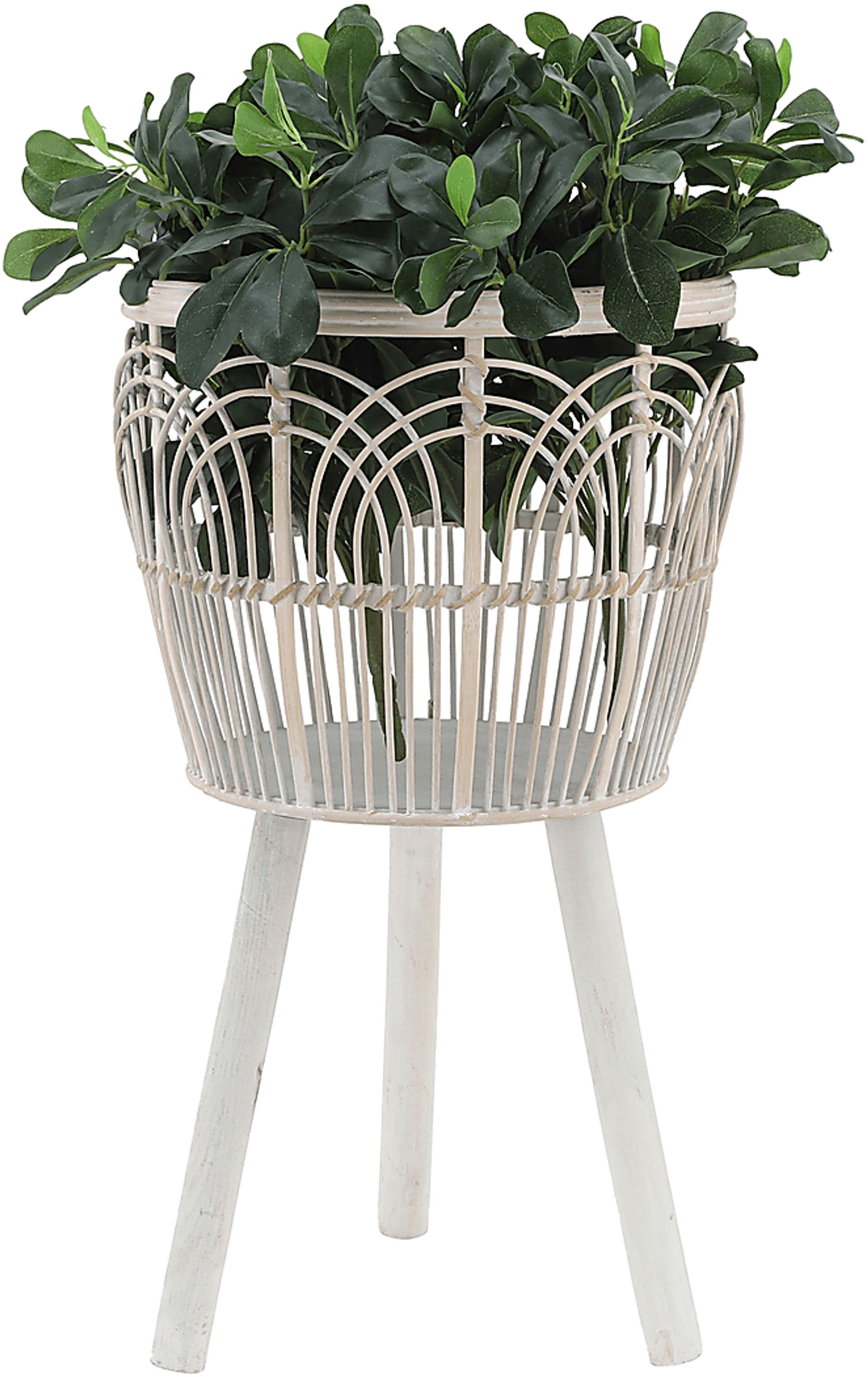 Mallaga White Planter, Set of 3 - Image 4