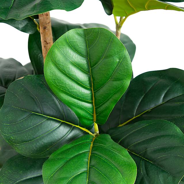 Mallberry I Green Silk Plant - Thumbnail - Image 3