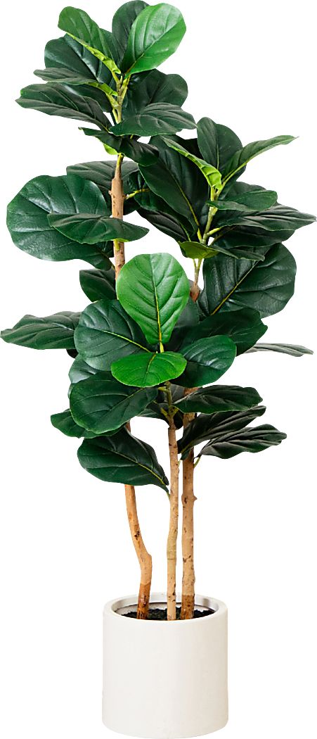 Mallberry I Green Silk Plant