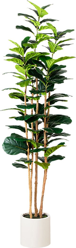 Mallberry IV Green Silk Plant