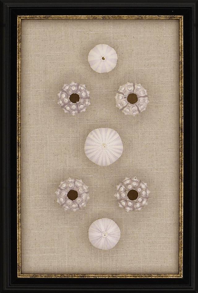 Malu Urchin Beige Artwork - Thumbnail - Image 1