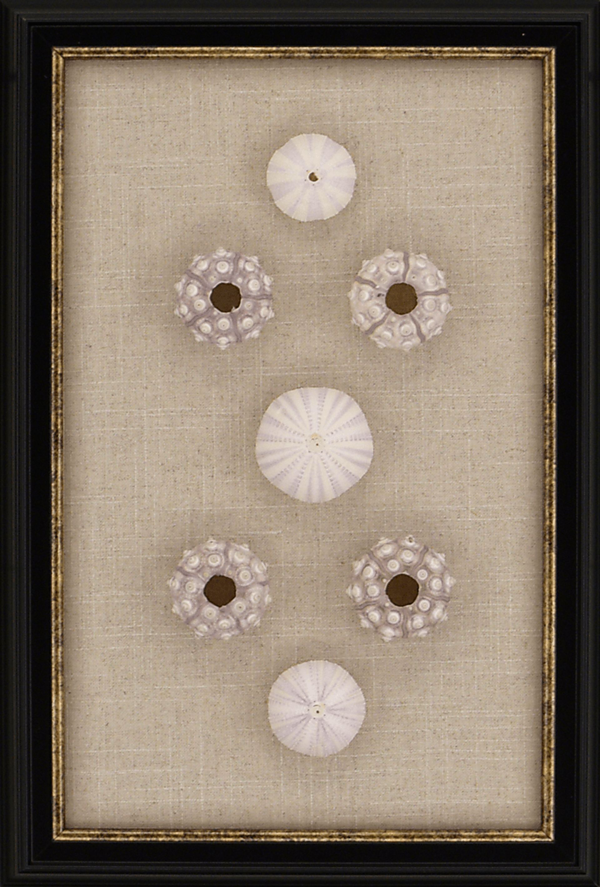 Malu Urchin Beige Artwork - Image 1