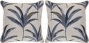 Martinique Beach Blue Indoor/Outdoor Accent Pillows, Set of Two