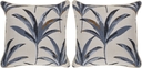 Martinique Beach Blue Indoor/Outdoor Accent Pillows, Set of Two