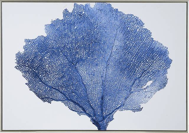 Mccuen Blue Artwork - Thumbnail - Image 1