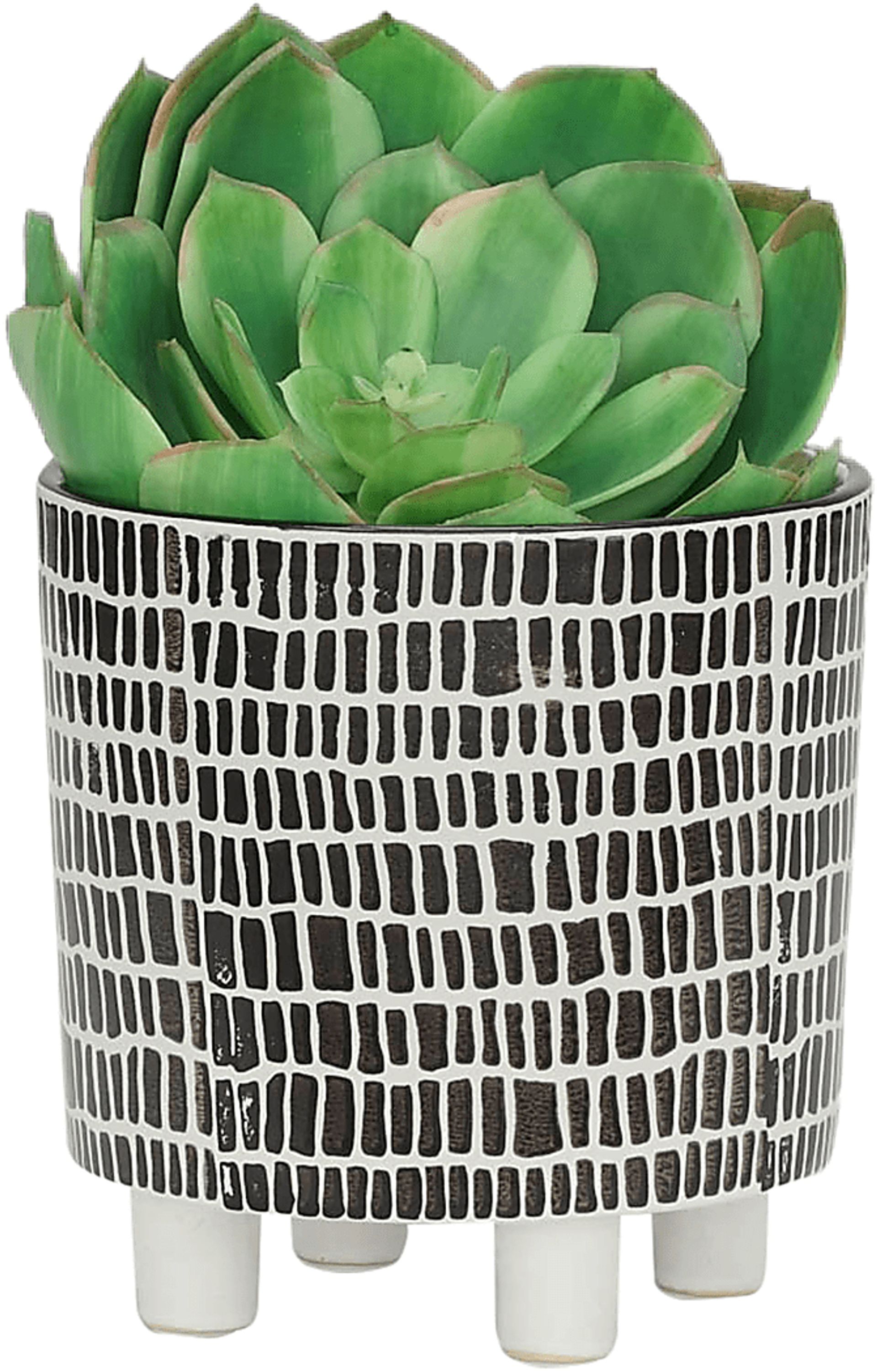 Millcove Black Planter, Set of 2 - Image 5